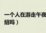 一个人在游走午夜的街头是什么歌（有歌词介绍吗）