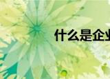 什么是企业（企业的概念）