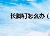 长脚钉怎么办（鸡眼内外疗法全知道）