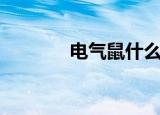 电气鼠什么梗（电气鼠介绍）