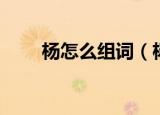 杨怎么组词（杨可以组成哪些词语）