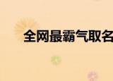 全网最霸气取名（网络名字大全霸气）
