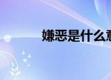嫌恶是什么意思（嫌恶的意思）
