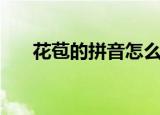 花苞的拼音怎么写（花苞是什么拼音）