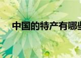 中国的特产有哪些（带你了解中国魅力）