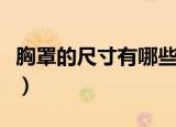 胸罩的尺寸有哪些（女人胸罩尺寸的具体分类）