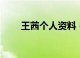 王茜个人资料（王茜个人资料简介）