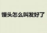 馒头怎么叫发好了（馒头怎样才算发酵好了）