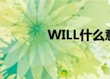WILL什么意思（WILL解析）