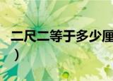二尺二等于多少厘米（关于二尺二的尺寸介绍）