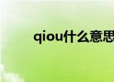 qiou什么意思（科普qiou的意思）
