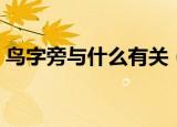 鸟字旁与什么有关（鸟字旁的字跟什么有关）