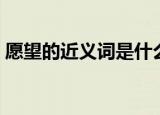 愿望的近义词是什么（愿望的近义词有哪些）