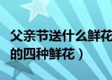 父亲节送什么鲜花最适合介绍（适合送给父亲的四种鲜花）