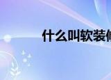 什么叫软装修（软装修的解释）