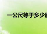 一公尺等于多少厘米（一公尺是几厘米）