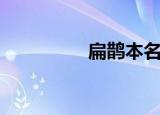 扁鹊本名（扁鹊的简介）