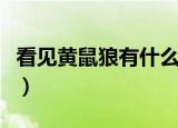看见黄鼠狼有什么预兆（看见黄鼠狼暗示什么）