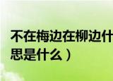不在梅边在柳边什么意思（不在梅边在柳边意思是什么）
