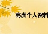 高虎个人资料简介（高虎的简介）