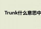 Trunk什么意思中文（Trunk指的是什么）