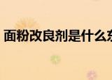 面粉改良剂是什么东西（什么是面粉改良剂）
