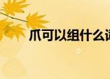 爪可以组什么词（爪的组词有哪些）