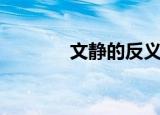文静的反义词（反义词介绍）