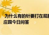  为什么有的针要打在屁股上有的却打在胳膊上 9月24日蚂蚁庄园今日问答