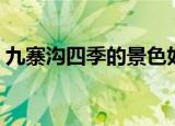 九寨沟四季的景色如何（四季都有什么特点）