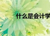 什么是会计学（会计学专业解释）