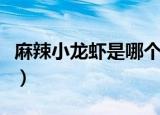 麻辣小龙虾是哪个地方的菜（麻辣小龙虾做法）