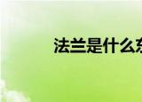 法兰是什么东西（什么是法兰）
