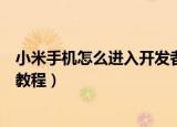 小米手机怎么进入开发者模式（小米手机进入开发者模式的教程）