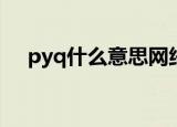 pyq什么意思网络语（竟然指的是这个）