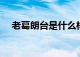 老葛朗台是什么样的人（老葛朗台介绍）
