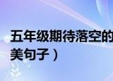 五年级期待落空的句子（五年级期待落空的优美句子）