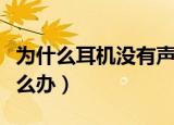 为什么耳机没有声音手机（耳机有杂音滋滋怎么办）