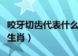 咬牙切齿代表什么生肖（咬牙切齿指的是什么生肖）