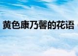 黄色康乃馨的花语（黄色康乃馨有什么寓意）