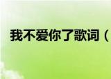 我不爱你了歌词（我不爱你了演唱者介绍）