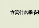 含笑什么季节开放（含笑开花时间）
