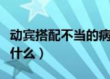 动宾搭配不当的病句（动宾搭配不当的病句有什么）