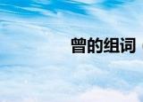 曾的组词（曾读音及解释）