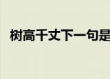 树高千丈下一句是什么（树高千丈的出处）