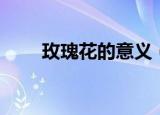 玫瑰花的意义（玫瑰花的意义介绍）