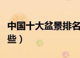 中国十大盆景排名有哪些（中国十大盆景有哪些）