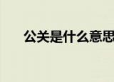公关是什么意思是什么（公关的含义）