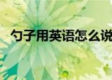勺子用英语怎么说（如何用英语表达勺子）