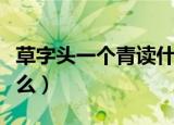 草字头一个青读什么（草字头一个青到底读什么）